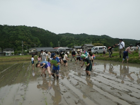 20120520-221400.jpg